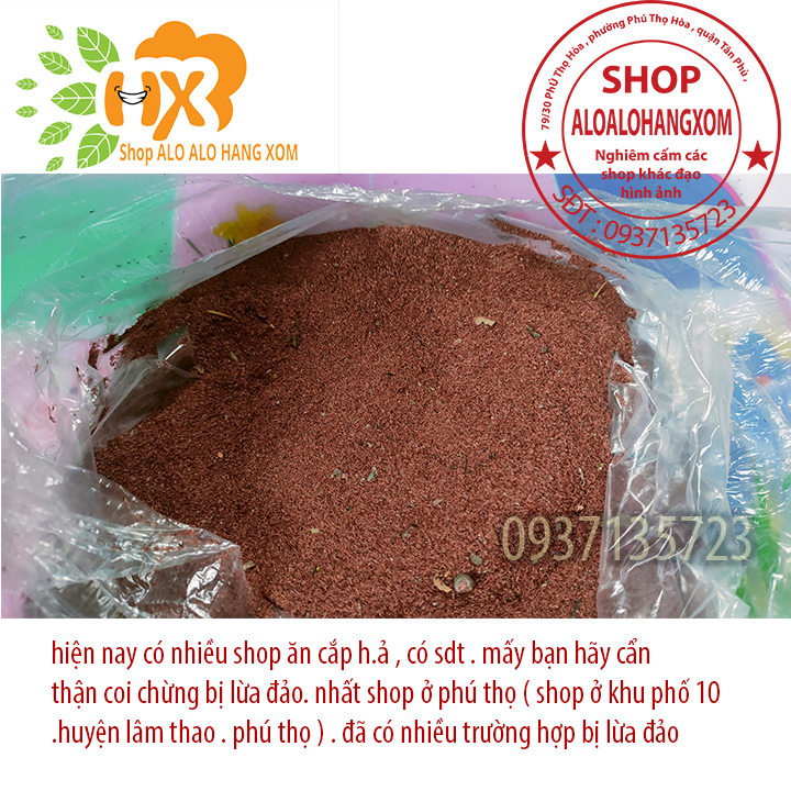 hạt giống cây tràm úc - 500 gram