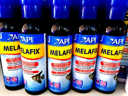 Api melafix ☘ chế phẩm kháng khuẩn cho cá cảnh 118ml - 237ml - 473ml