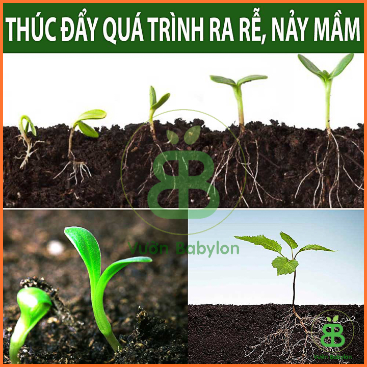 Phân Bón Lân Lâm Thao 500G Cho Mọi Cây Trồng