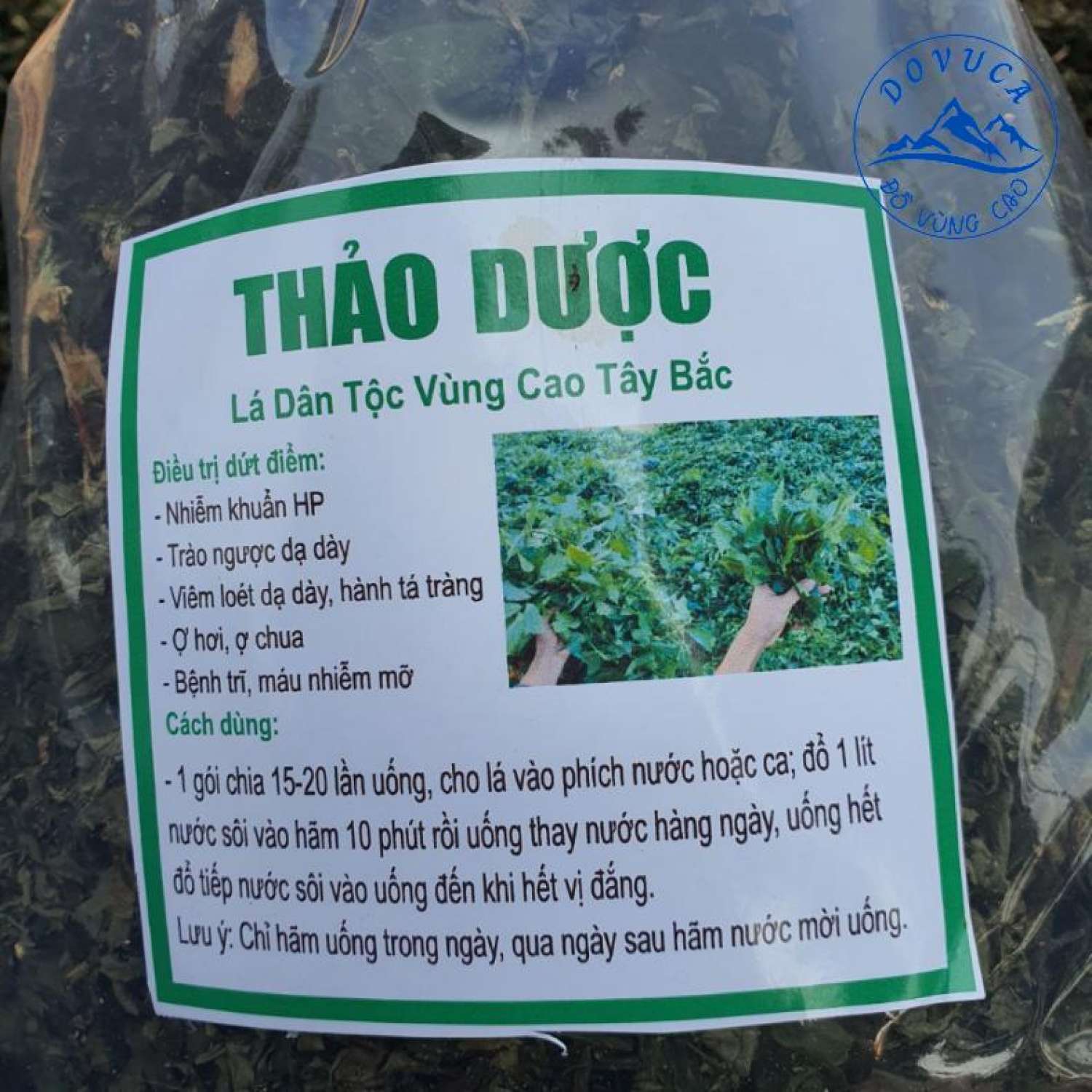 Lá Cơm kìa, Lá dạ dày, Lá đắng, Lá Giải rượυ, Lá rau rừng khô xanh mướt đẹp