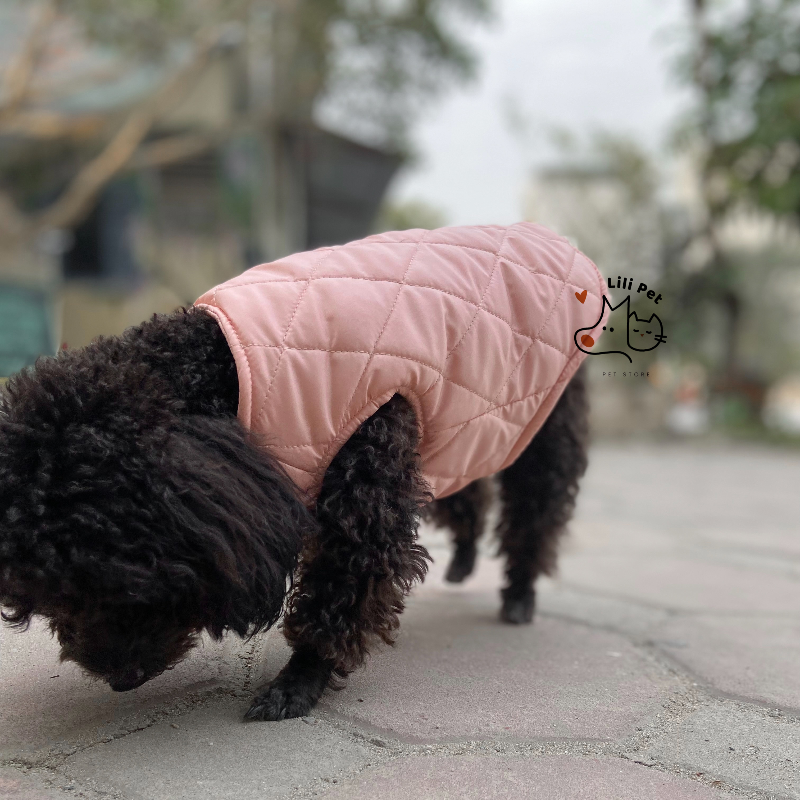 [SIÊU SALE] ÁO PHAO TRẦN BÔNG CHO CHÓ MÈO
