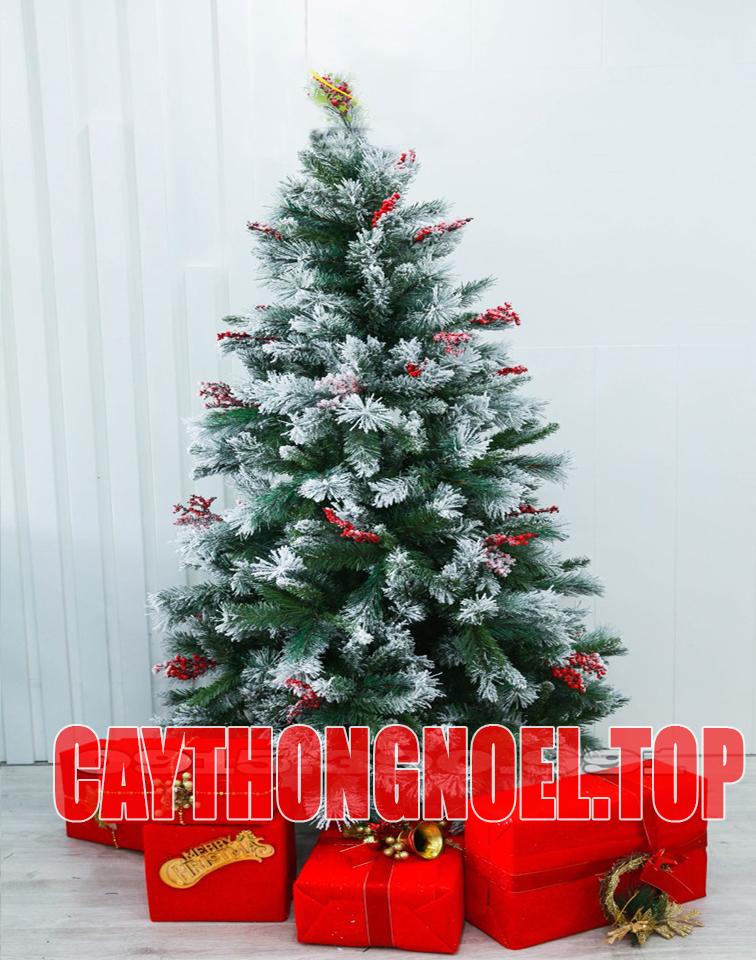 Cây thông noel phủ tuyết 2m - TẶNG 4 dây kim tuyến 1 ngôi sao