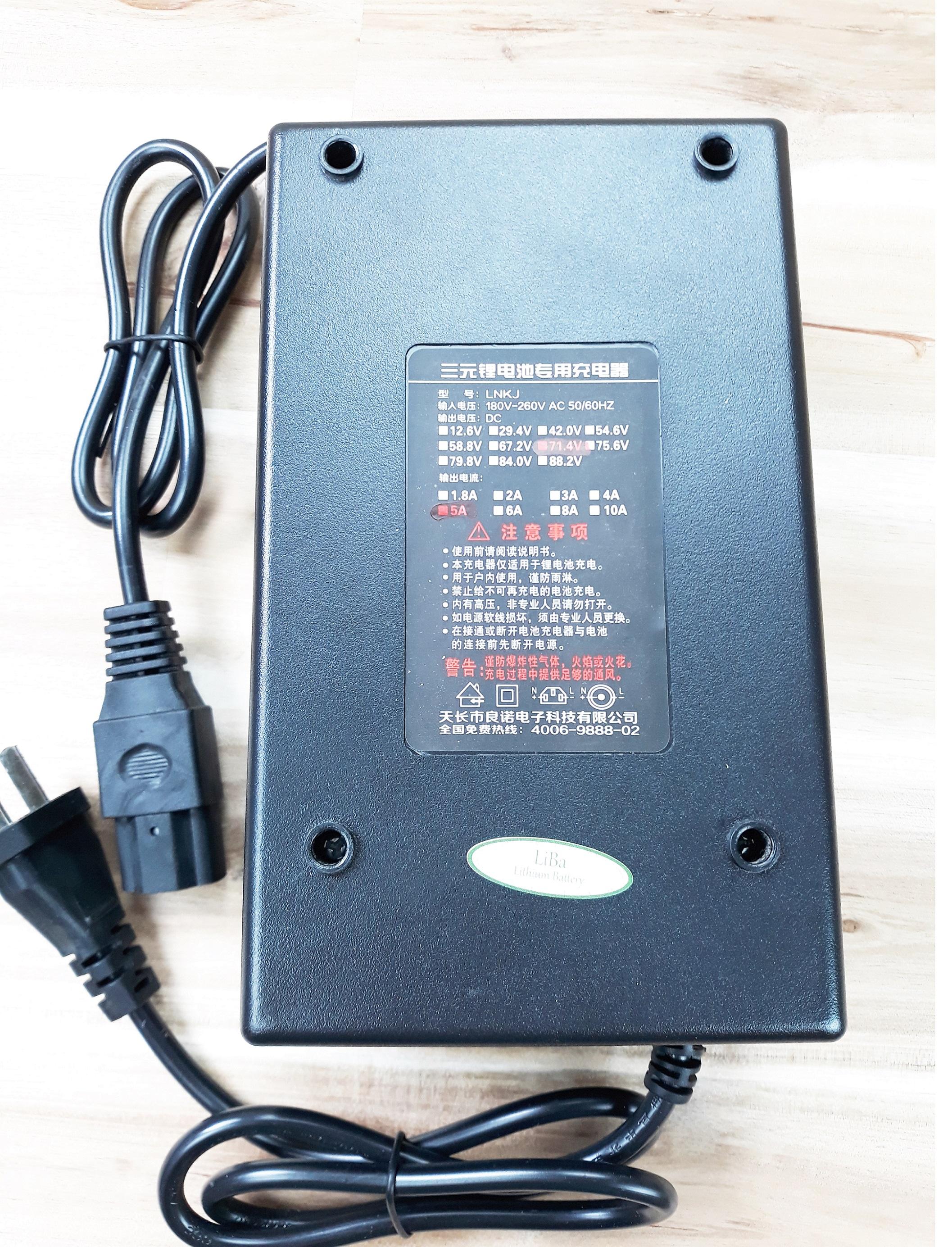 [HCM]Sạc 60V Chuyên Dụng Cho Pin Lithium Xe Điện