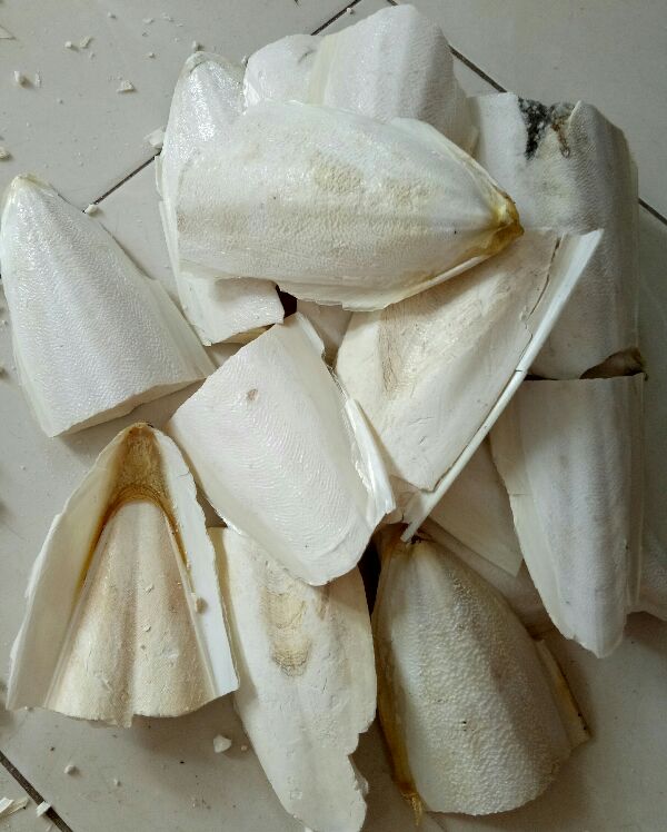 1Kg  NAN MỰC VỠ  CHO CHIM,VẸT