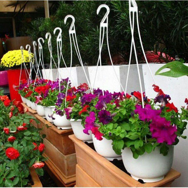 Chậu treo trồng hoa rau cây kiểng 21cm