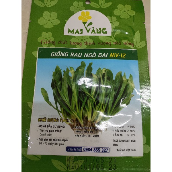 [gói 5g] Hạt giống rau ngò gai (mùi tàu)