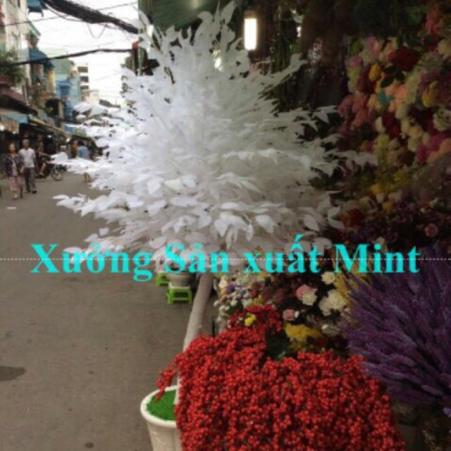 Sỉ bó 10 Cành lá si trắng - Lá giả