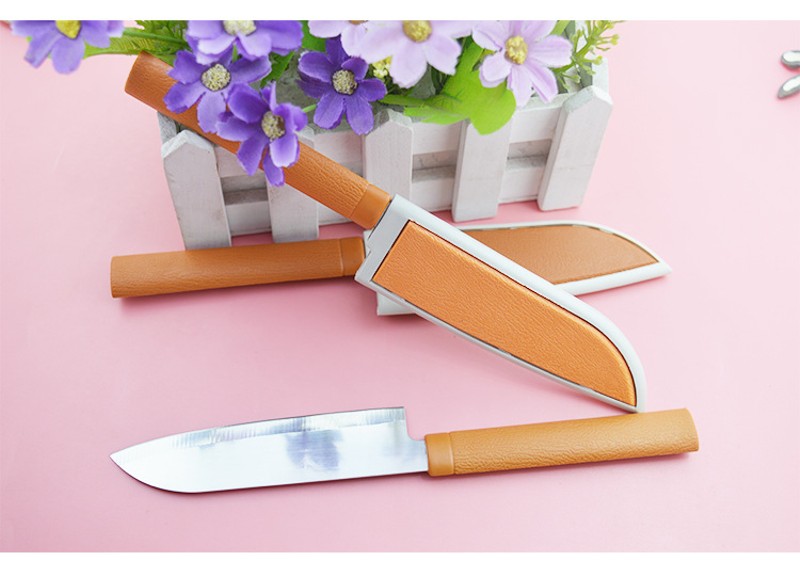 Dao Gọt Hoa Quả Cao Cấp - Dao Gọt Trái Cây Inox Có Vỏ Bọc Bảo Vệ Bọc Lưỡi Dao Ăn Toàn - Kiểu Dáng Du Lịch