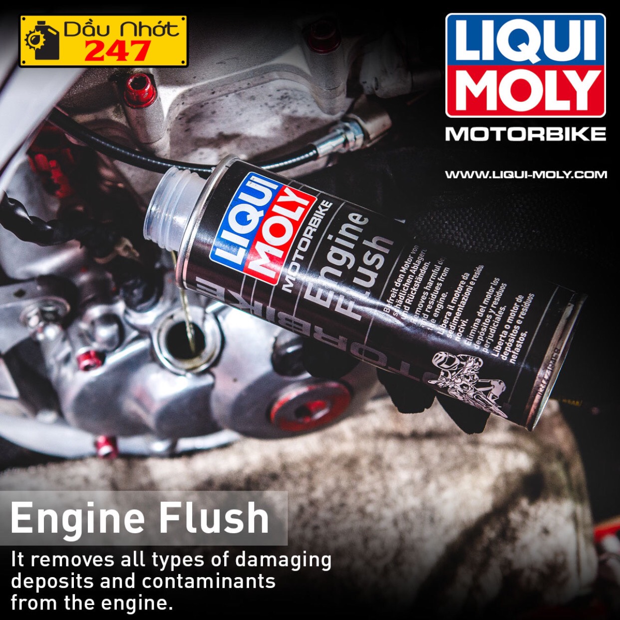 Dung dịch súc rửa động cơ Liqui Moly Engine Flush 250ml - 1657