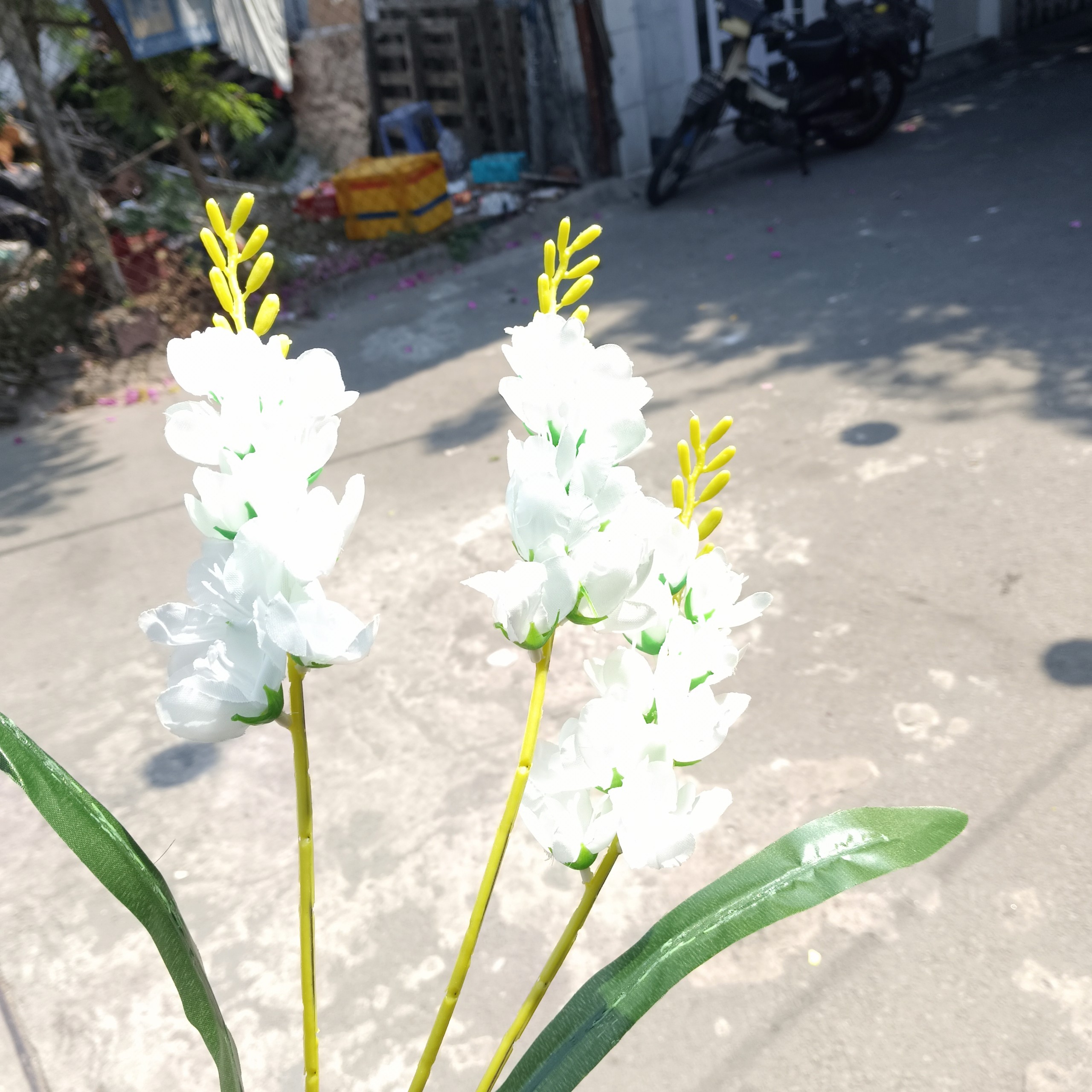 cành hoa lan phi yến giả - hoa lụa cao cấp - thanh lý sập sàn