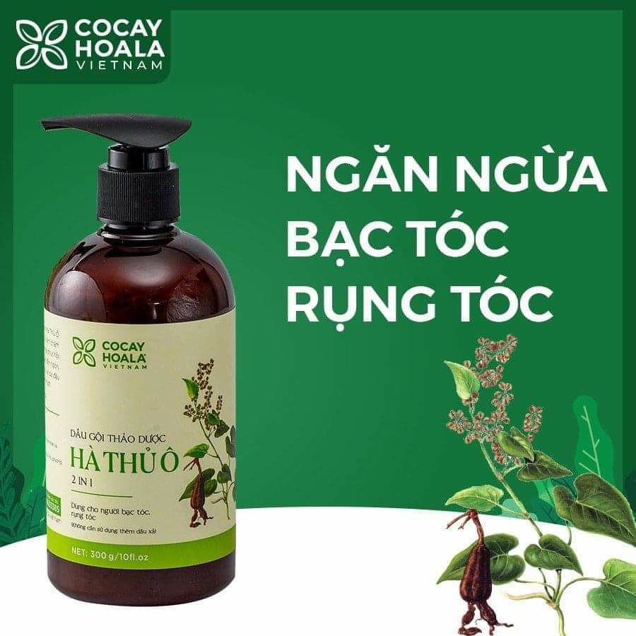Dầu gội đầu Hà thủ ô