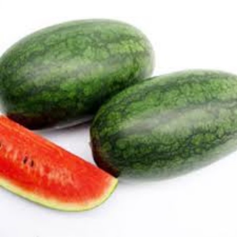 Hạt Giống Dưa Hấu Oval Loại Dễ Trồng. Túi 10 Hạt