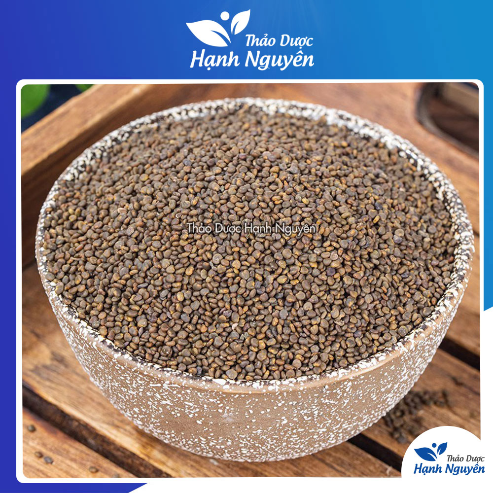 Sa uyển tử nguyên chất 100g, hàng khô, sạch, thơm - Thảo Dược Hạnh Nguyên
