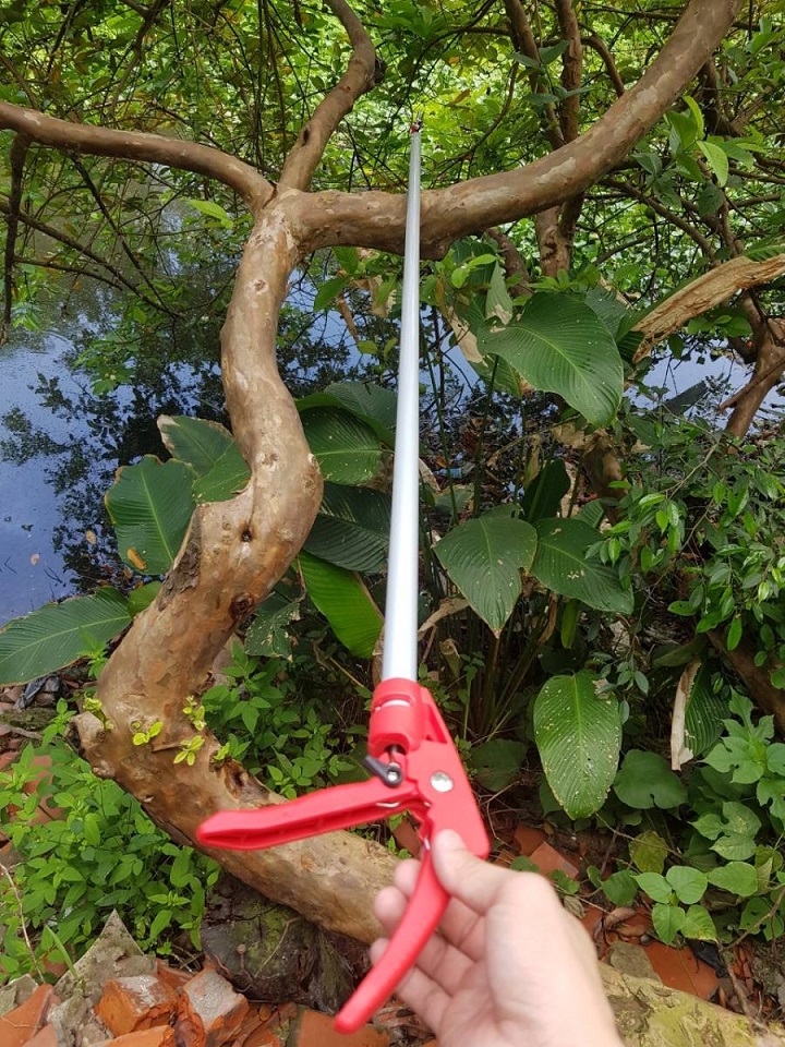 Kéo cắt cành trên cao 4 mét