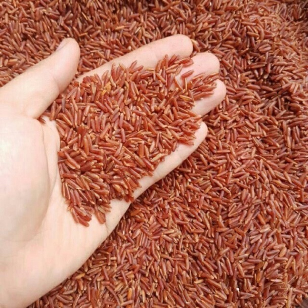 Gạo lứt huyết rồng hàng sạch 1kg