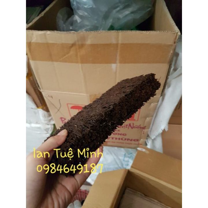 Bảng dớn trồng lan size 10x20x3 cm