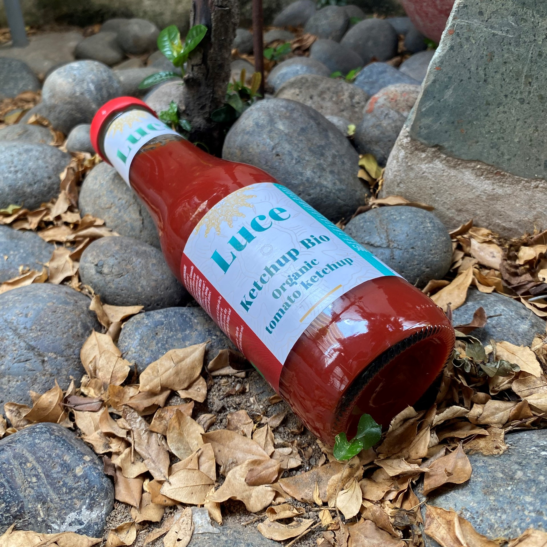Luce Organic Tomato Ketchup 500g