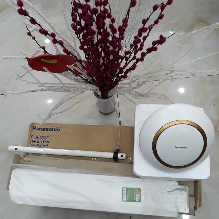 [HCM]Quạt trần Panasonic F60MZ2