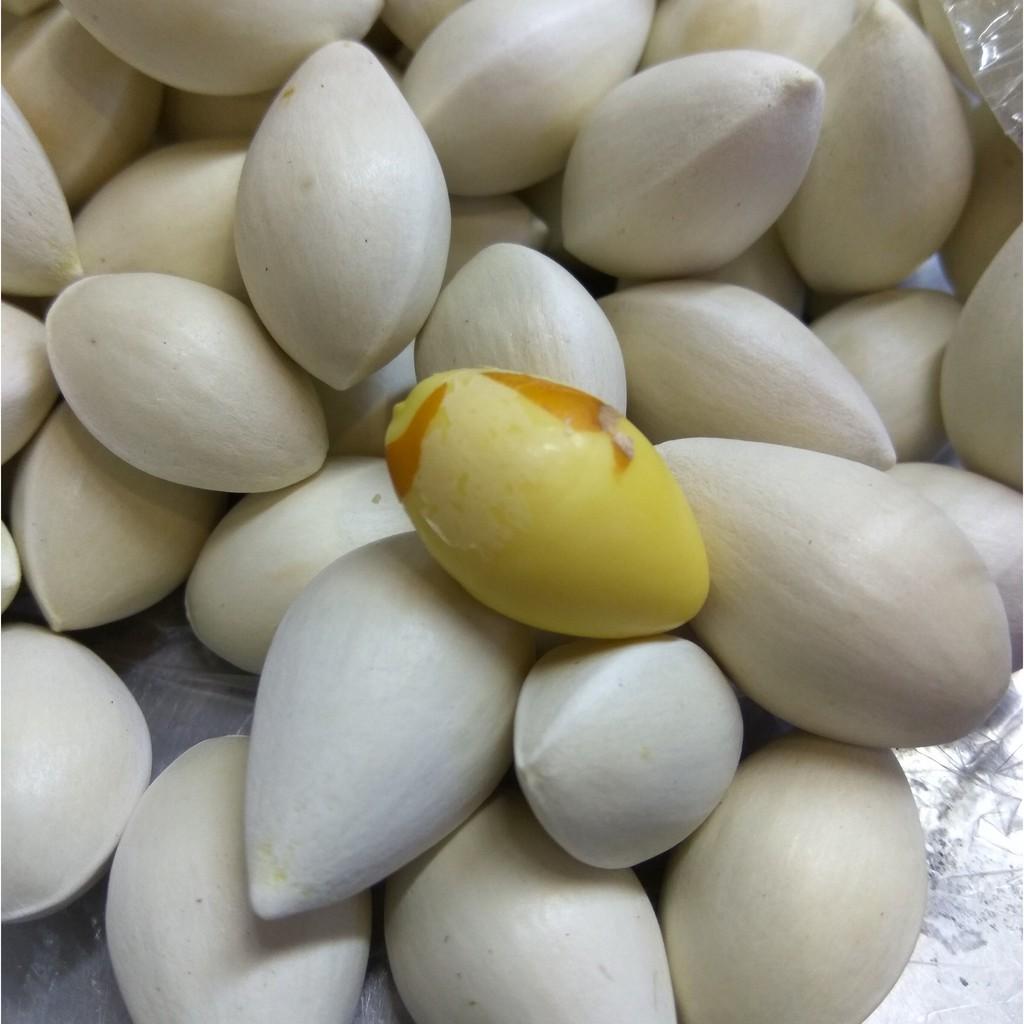 1kg bạch quả nguyên vỏ loại 1