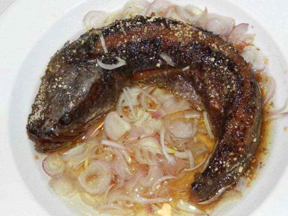 Mắm lóc đồng thơm ngon chất lượng 1kg