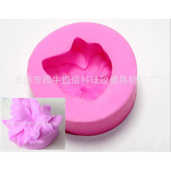 Khuôn silicon 3D hoa Lan