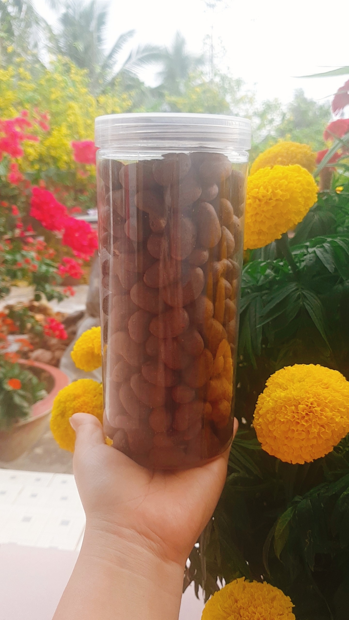 Hạt điều Socola VITIFOOD - 500 gram