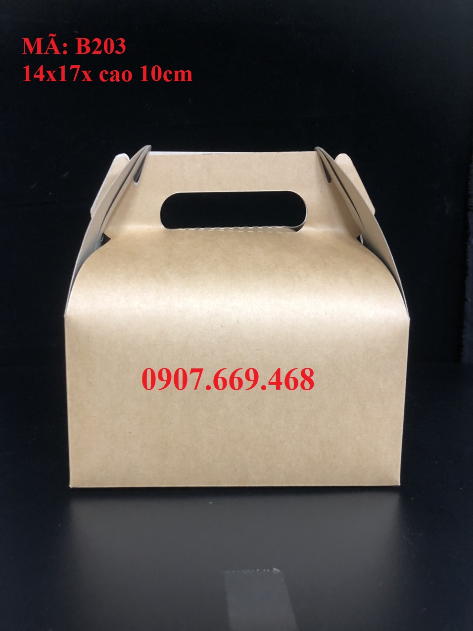 HỘP GIẤY TAKEAWAY QUAI XÁCH 100 cái/đơn