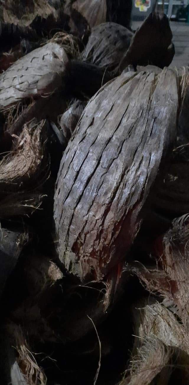 Vỏ dừa khô trồng lan 1kg
