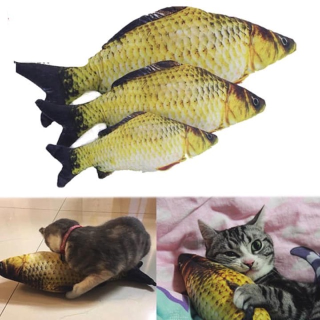 Catnip cho mèo hình cá 3D nhồi bông 🐟🐠