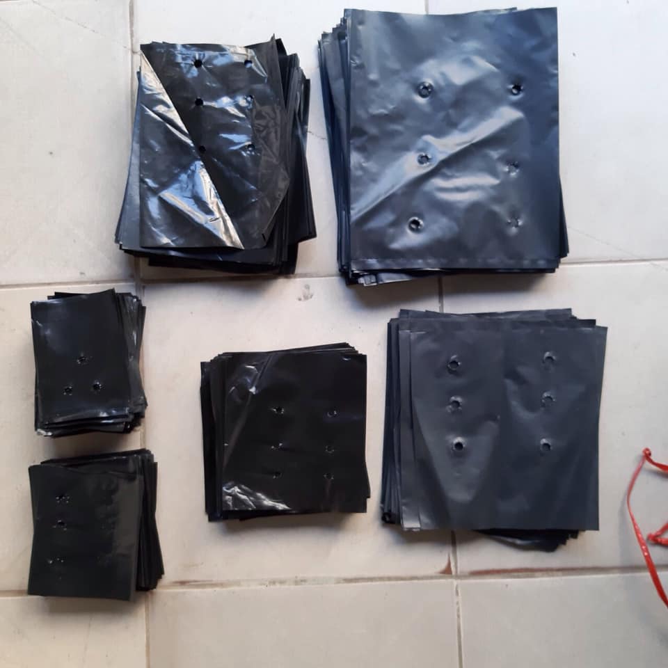 5 KG TÚI ĐÓNG BẦU ƯƠM CÂY