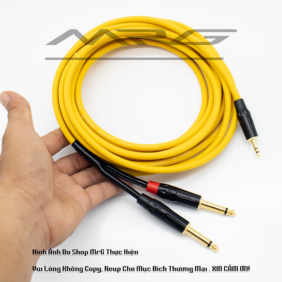 (5 Mét) Dây Jack 3.5Ly Ra 2 Đầu 6Ly (6.5ly)