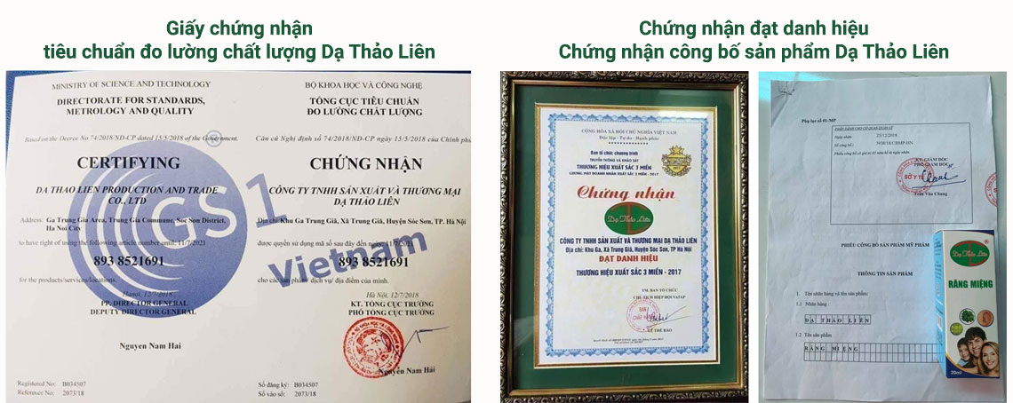 Tinh dầu Răng miệng Dạ Thảo Liên