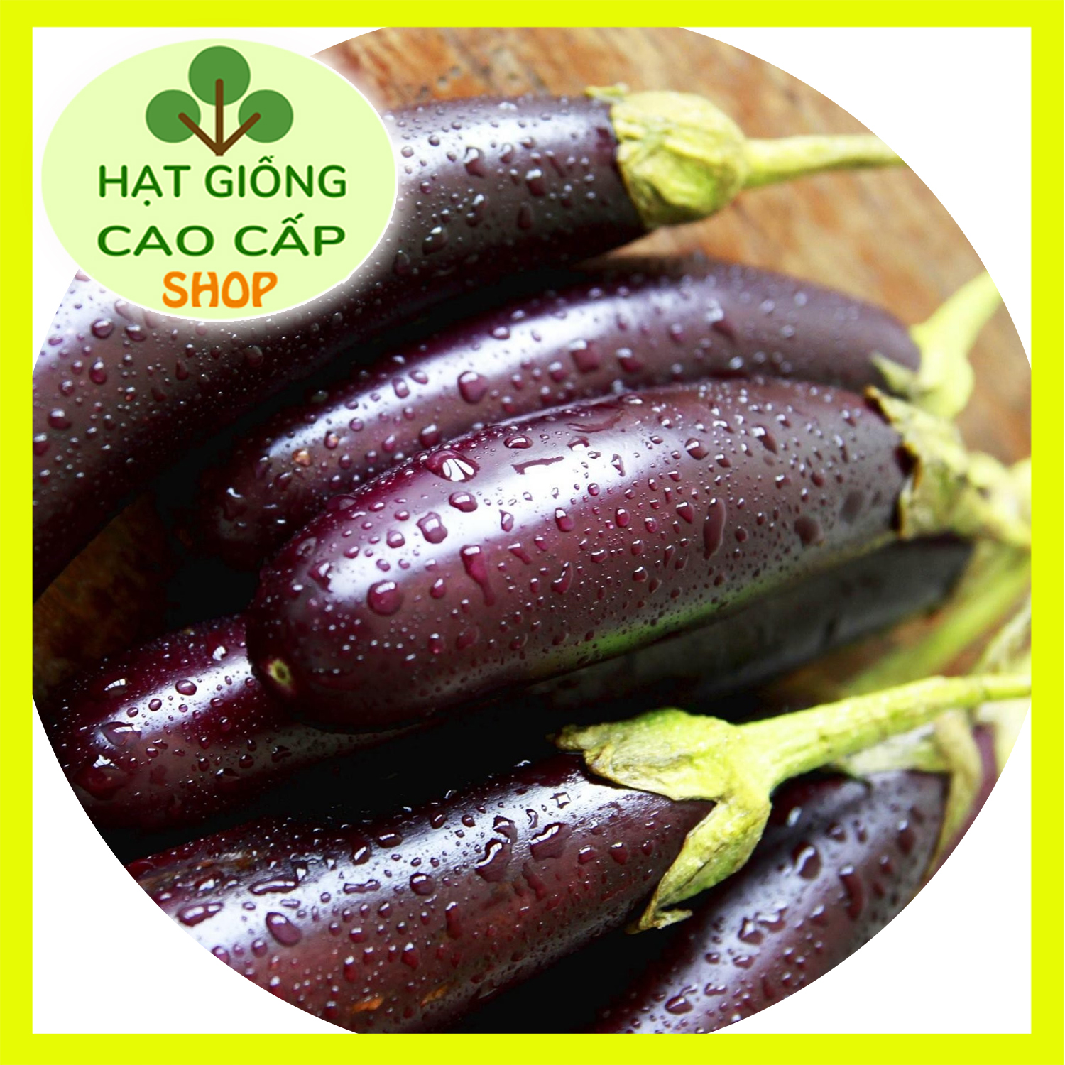 HẠT GIỐNG CÀ TÍM DÀI GÓI 1000MG