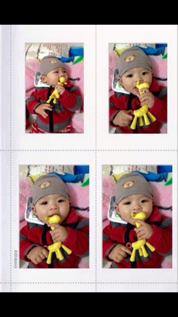 Gặm nướu Hươu Nhật Bản