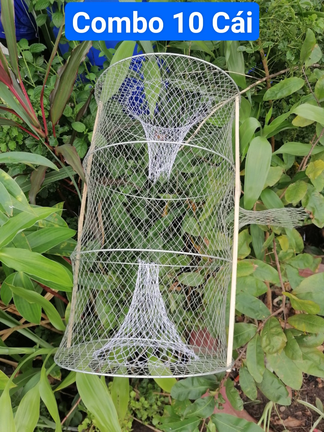 Lờ cá lóc ( combo 10 cái, 4 vành kẽm, 30cm x 50cm )