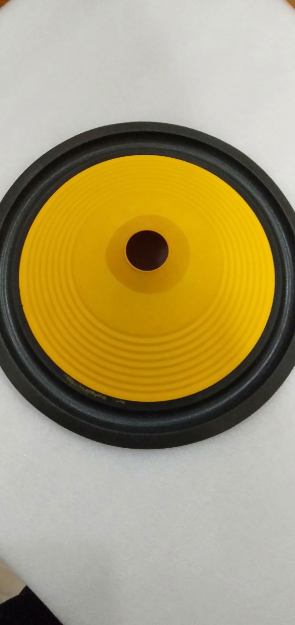 màng loa bass 25