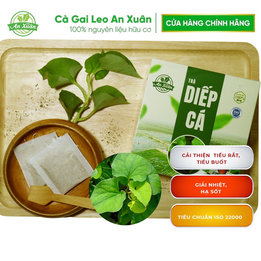 Trà diếp cá - An Xuân