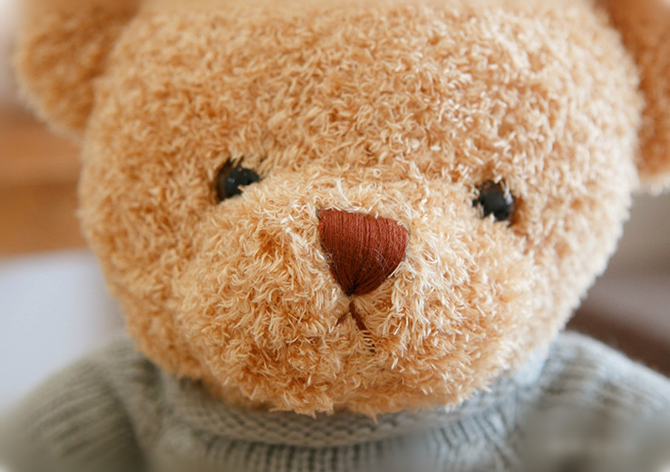 Gấu bông teddy bear 50cm