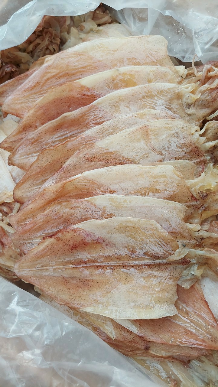 Khô Mực Câu 40-42Con/Kg