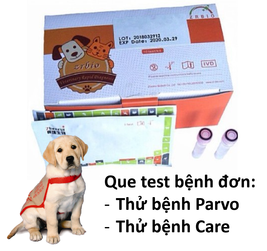 Test bệnh thú cưng que thử bệnh chó mèo Parvo Care FPV