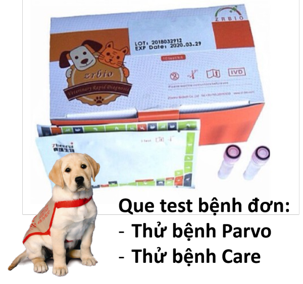 HCM-1 que - Test bệnh parvo trên chó  ( 4711634) que thử bệnh chó-HP11022TC