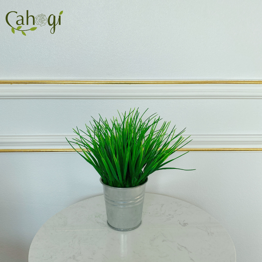 Chậu Cây Giả Chậu Lúa Mạ Non Cắm Sẵn