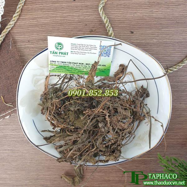 Mã đề khô 500g cao cấp - Hàng sạch xanh chất lượng cao với mức giá tốt - Thảo Dược Tấn Phát