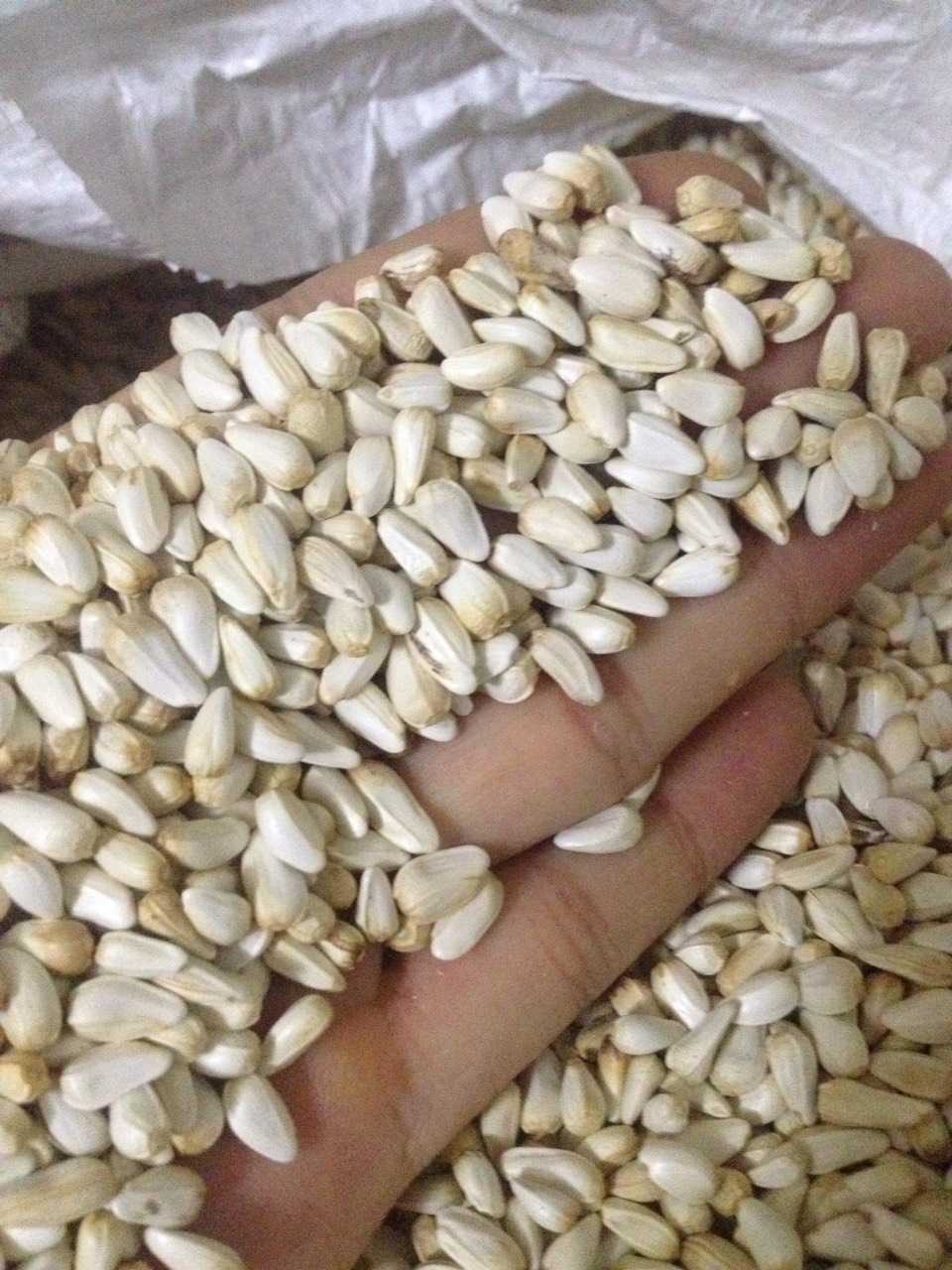 hạt kham trắng thục phẩm cho chim gà 1kg