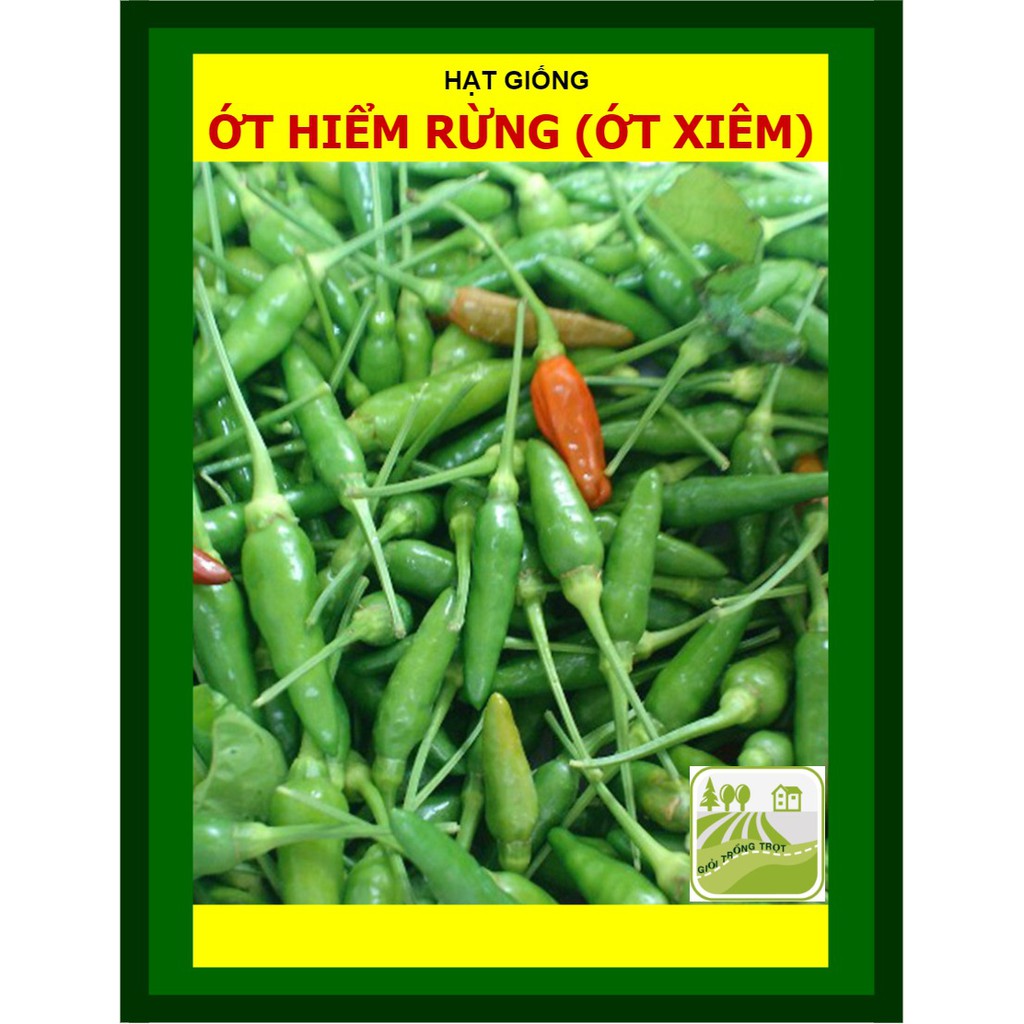 Hạt Giống Ớt Xiêm Ớt Hiểm Rừng