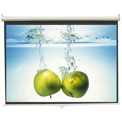 Màn chiếu treo tường kéo tay 170 inch