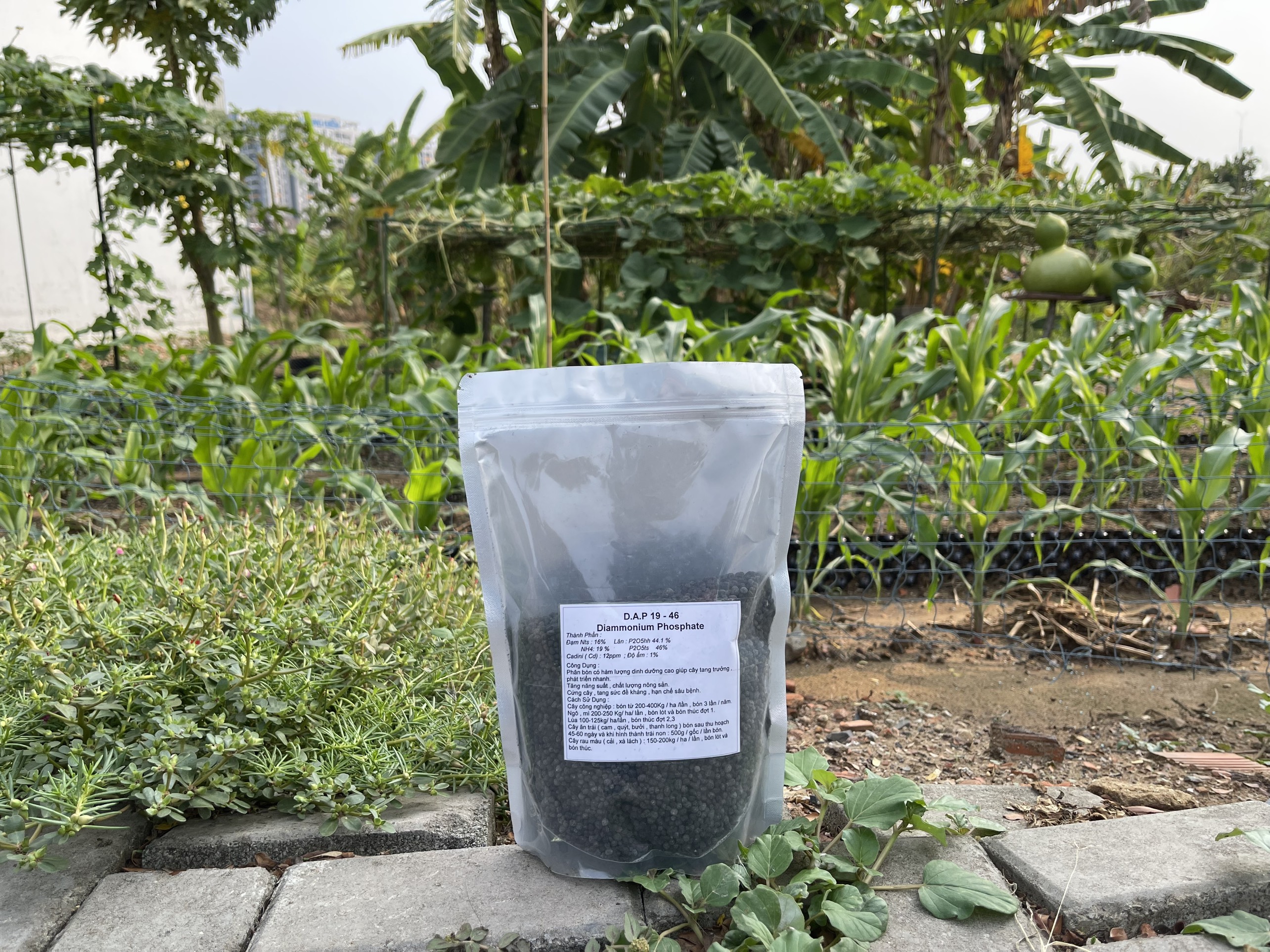 Phân lân DAP 19-46 gói 1kg, phân bón hạt đen