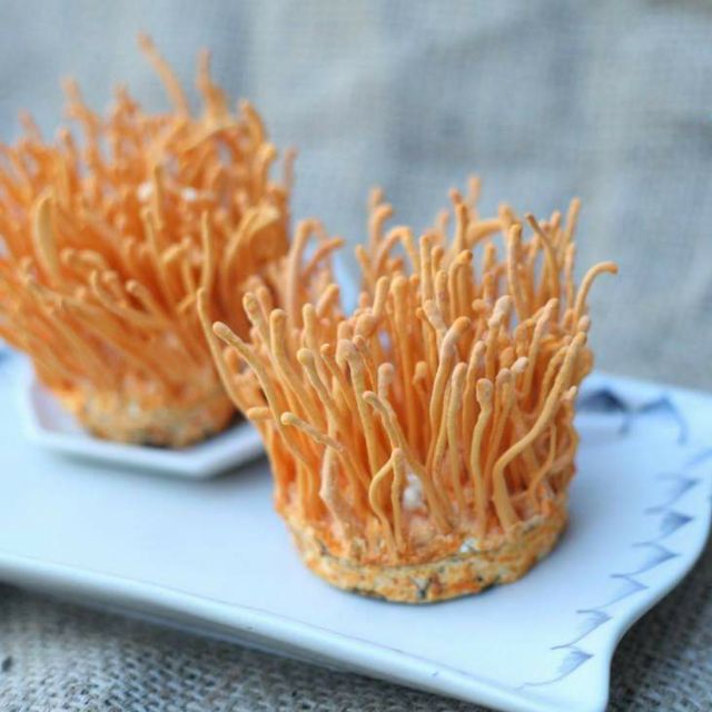 ĐÔNG TRÙNG HẠ THẢO XẤY KHÔ 100gr