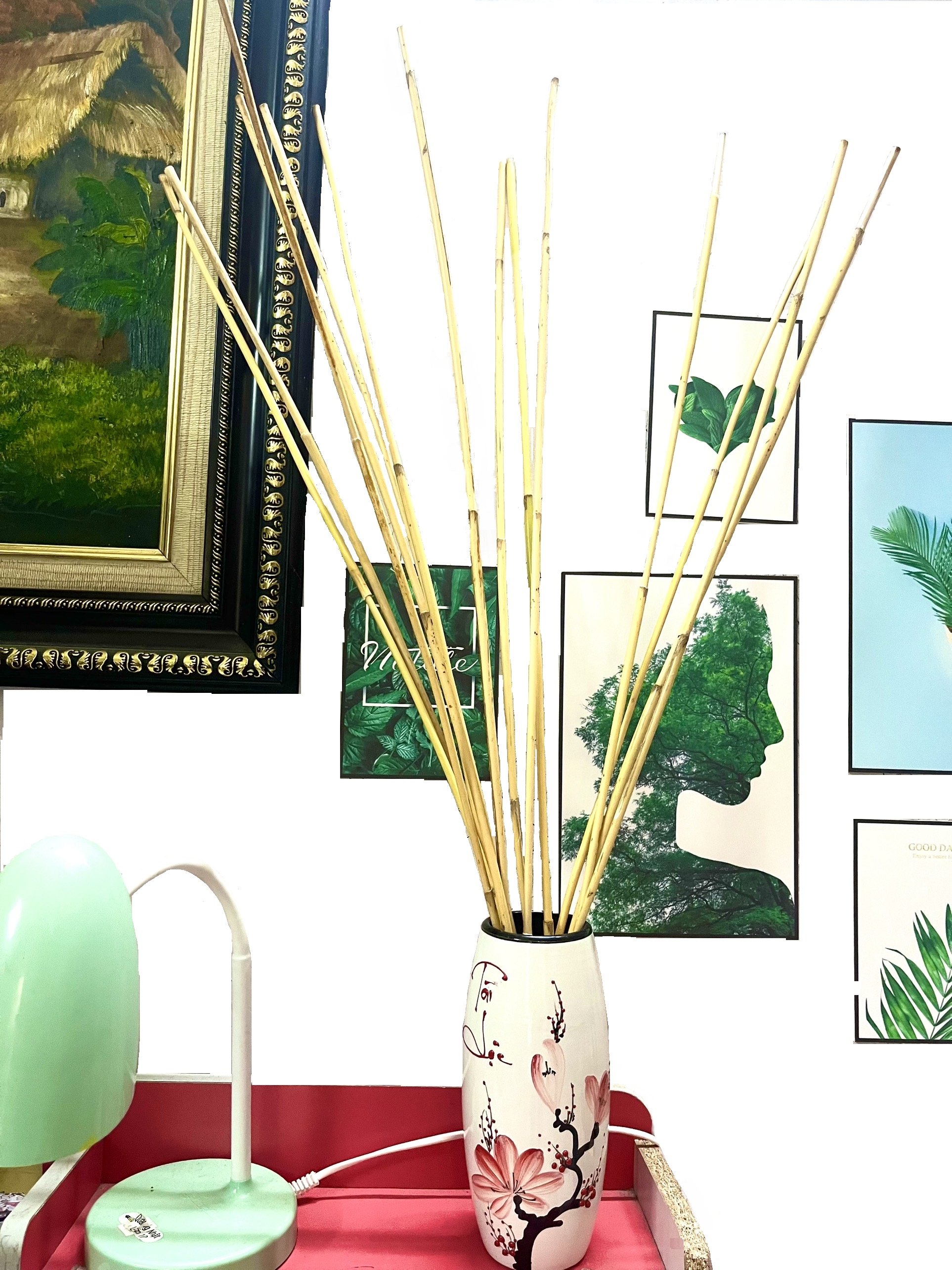 Cây Mây Dẻo Dai - Sử Dụng Để Trang Trí