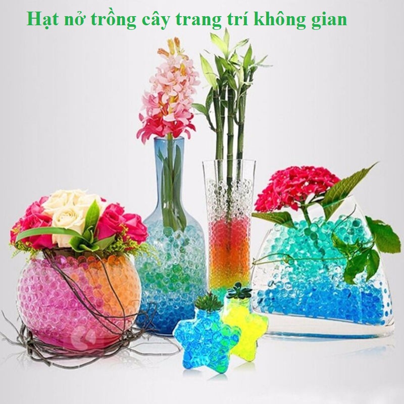 Hạt nở cho cây trồng thủy sinh, hạt nở dinh dưỡng 10gr
